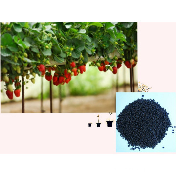 Microbial Seaweed extract base organic NPK fertilizer with amino acid